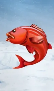 Ice Fishing